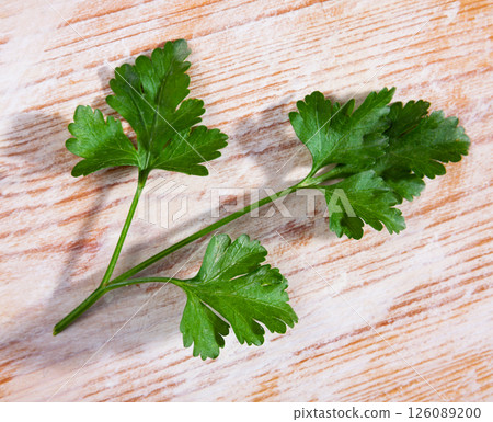 Sprig of fresh green parsley on a wooden surface 126089200