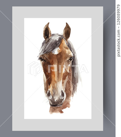 Face of horse or fat baby raised by livestock breeders on farm on wall art. Watercolor artwork Face of horse or fat baby raised by livestock breeders on farm on wall art. Watercolor artwork 126089979