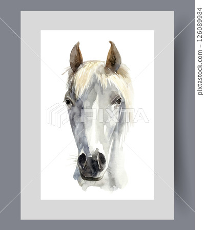 Muzzle of white horse with light bangs between large ears on poster. Watercolor artwork 126089984