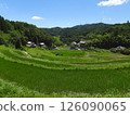 Summer rural landscape: rice terraces and village (photographed in July 2024 in Hase, Ibaraki City, Osaka Prefecture) 126090065