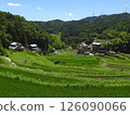 Summer rural landscape: rice terraces and village (photographed in July 2024 in Hase, Ibaraki City, Osaka Prefecture) 126090066