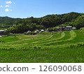 Summer rural landscape: rice terraces and village (photographed in July 2024 in Hase, Ibaraki City, Osaka Prefecture) 126090068