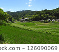 Summer rural landscape: rice terraces and village (photographed in July 2024 in Hase, Ibaraki City, Osaka Prefecture) 126090069