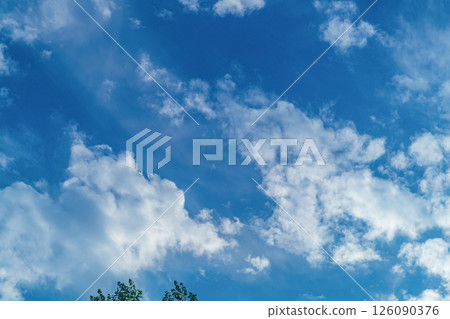 A blue sky on a sunny summer day over the tops of green trees with passing clouds, through which the sun's rays shine through. Natural Backgrounds of the Environment A blue sky on a sunny summer day over the tops of green trees with passing clouds, through which the sun's rays shine through. Natural Backgrounds of the Environment 126090376