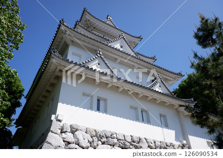 岐阜縣大垣城樓 岐阜縣大垣城樓 126090534