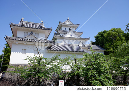 岐阜縣的大垣城 126090733