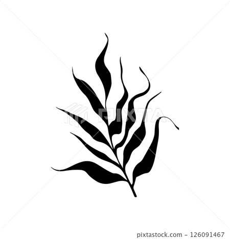 Bold Leaf Silhouette Drawing. Stylized black silhouette of a botanical leaf drawn in a strong, graphic style. Bold Leaf Silhouette Drawing. Stylized black silhouette of a botanical leaf drawn in a strong, graphic style. 126091467