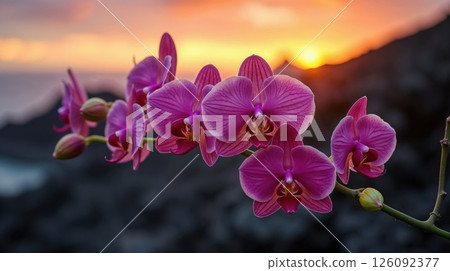 Pink orchid blooms against a soft sunset sky backdrop 126092377