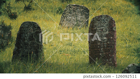 Old ancient Jewish cemetery in summer spring day. green grass and many ancient stones. Headstone Headstones Tombstones jewish grave 126092511