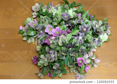 Christmas rose bouquet Christmas rose bouquet 126092935