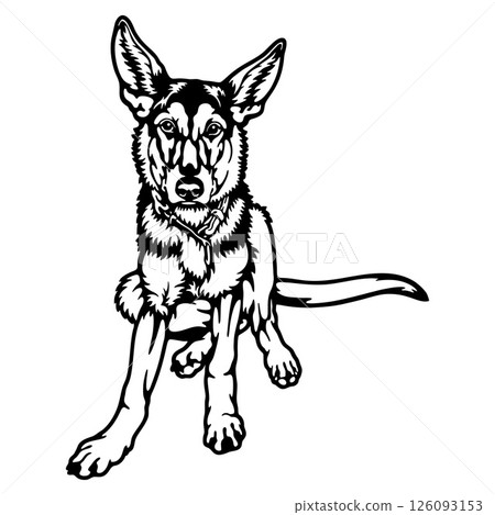 puppy German Shepherd Dog Breed - Pet Vector Cut file, Dog Silhouette Stencil - Cricut file puppy German Shepherd Dog Breed - Pet Vector Cut file, Dog Silhouette Stencil - Cricut file 126093153