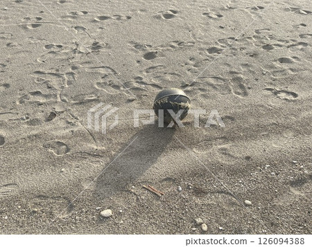 A floating object washed up on the beach A floating object washed up on the beach 126094388