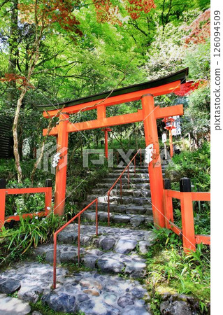 Located along the Kibune River, the source of the Kamo River in Kyoto... The sacred water of matchmaking [Kifune Shrine] 126094509
