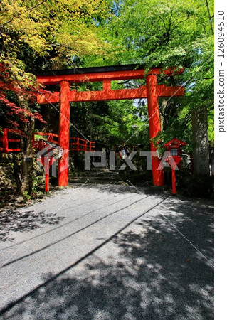 Located along the Kibune River, the source of the Kamo River in Kyoto... The sacred water of matchmaking [Kifune Shrine] 126094510