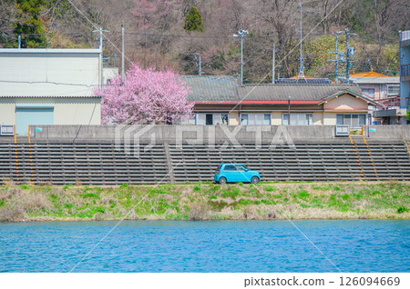 Sai River, cherry blossoms and cars [Nagano Prefecture] 126094669