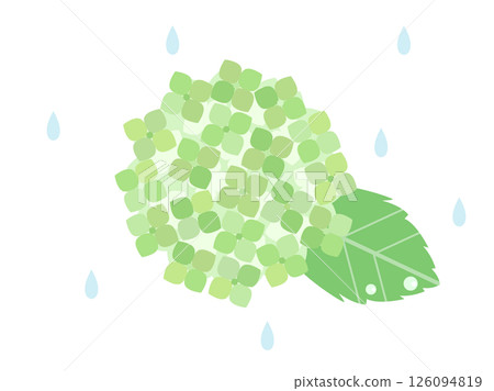 雨和綠色繡球花的插圖 雨和綠色繡球花的插圖 126094819