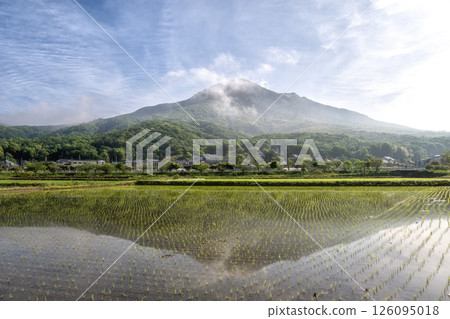 Rice field reflection of Mt. Tsukuba Rice field reflection of Mt. Tsukuba 126095018