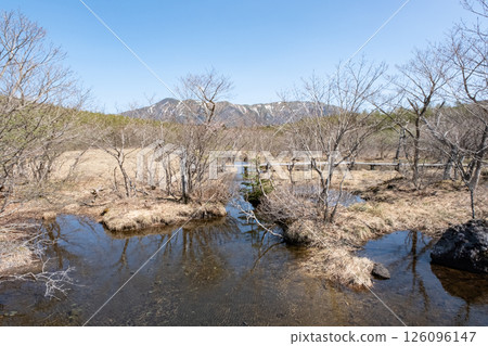 Scenery of Nasu Numagara Marsh in early spring 126096147