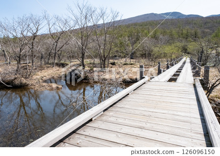 Nasu Numanbara Marsh in early spring, boardwalk scenery Nasu Numanbara Marsh in early spring, boardwalk scenery 126096150