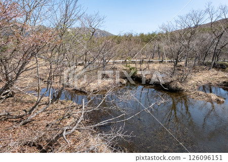 Scenery of Nasu Numagara Marsh in early spring Scenery of Nasu Numagara Marsh in early spring 126096151