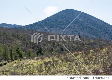 晴朗天氣下的沼原濕地風景 晴朗天氣下的沼原濕地風景 126096164