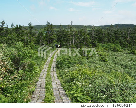 Hachimantai wooden path Hachimantai wooden path 126096214