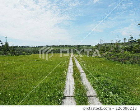 棉花草和木棧道（岩手縣八幡平市八幡平） 126096218