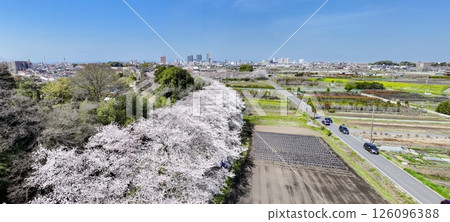 Aerial view "Saitama Prefecture" Spring, Sakura corridor of Minuma rice field Aerial view "Saitama Prefecture" Spring, Sakura corridor of Minuma rice field 126096388