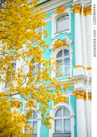 the incredibly picturesque facade of the Winter Palace through the branches of trees on a clear spring day, the heritage of Russia, the most famous landmark of St. Petersburg, the museum 126096444