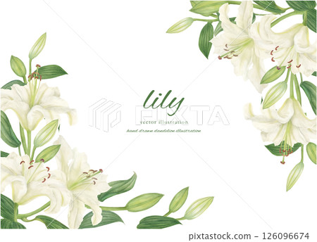 用水彩繪製的白色卡薩布蘭卡的框架材料 用水彩繪製的白色卡薩布蘭卡的框架材料 126096674