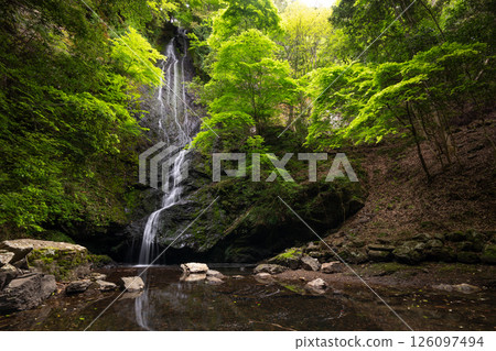 Kototaki Falls with fresh greenery (Kyoto Prefecture, Funai District, Kyotanba Town) Kototaki Falls with fresh greenery (Kyoto Prefecture, Funai District, Kyotanba Town) 126097494