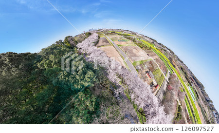 「埼玉縣」用360度相機拍攝的春天見沼稻田、櫻花走廊 「埼玉縣」用360度相機拍攝的春天見沼稻田、櫻花走廊 126097527