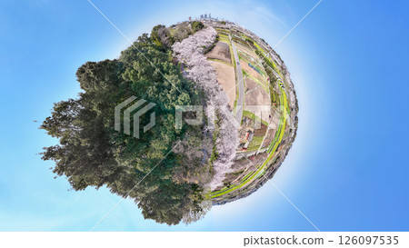 "Saitama Prefecture" Spring Minuma rice field photographed with a 360 degree camera, Sakura Corridor "Saitama Prefecture" Spring Minuma rice field photographed with a 360 degree camera, Sakura Corridor 126097535
