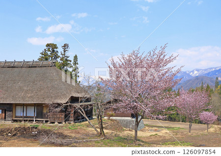Spring on the Senkoku Kaido road: A cowherd's lodge in Kutsukake, Otari village 126097854