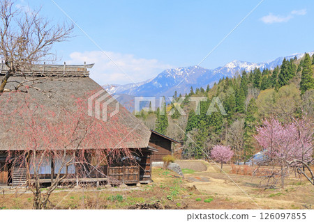 Spring on the Senkoku Kaido road: A cowherd's lodge in Kutsukake, Otari village 126097855
