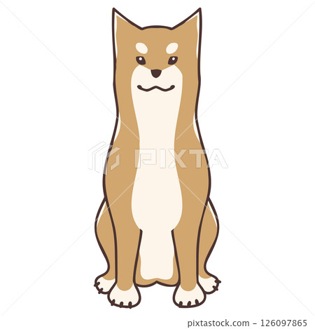 Shiba Inu送我 126097865