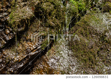 Water gently cascades over moss-covered rocks in a serene forest setting, showcasing nature's beauty during a tranquil afternoon 126098631