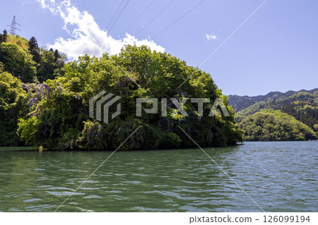 Maruyama with wisteria flowers in bloom (as seen from a swan boat on Lake Sagami) 126099194