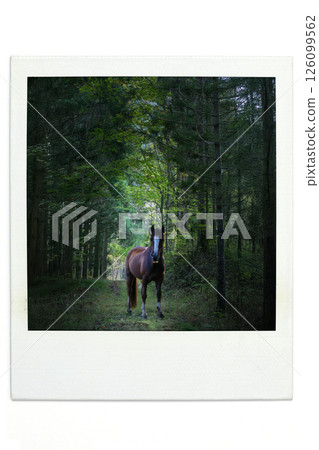 Horse in the Forest Ai Polar Style 126099562