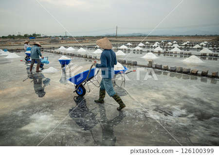 Asian workers transport salt on cart at Hon Knoi village where seawater evaporates in drying basins 126100399