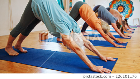 Senior people, stretching and yoga in class for zen, fitness exercise and spiritual wellness. Group, elderly women and downward dog pose for pilates, community and holistic balance at health club 126101176