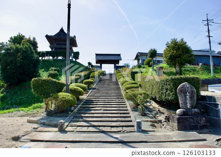 松江藩的寺院-春天的天林寺 松江藩的寺院-春天的天林寺 126103133
