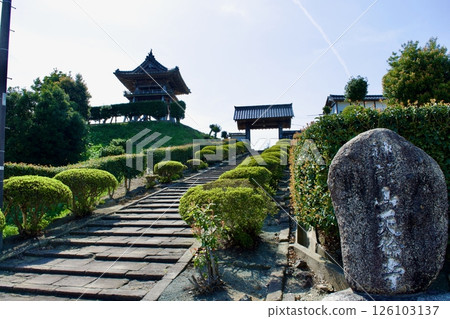 松江藩的寺院-春天的天林寺 松江藩的寺院-春天的天林寺 126103137