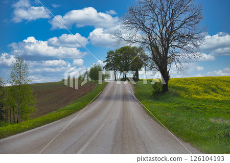 Winding Country Road Amid Fields Under a Bright Blue Sky Winding Country Road Amid Fields Under a Bright Blue Sky 126104193