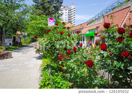 Flower Michi 126105032