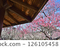 The plum garden seen from the gazebo at Aoba no Mori Park 126105458