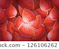 Lots of bright red strawberries / Background illustration / A4 size 126106262