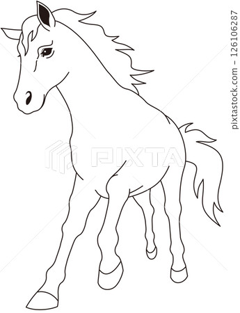 Running white horse, front, monochrome 126106287