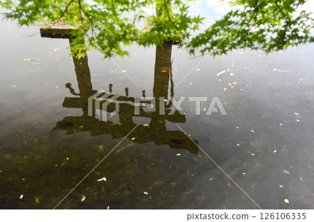 A torii gate and green foliage reflected in Lake Kinrin in Yufuin, Oita Prefecture A torii gate and green foliage reflected in Lake Kinrin in Yufuin, Oita Prefecture 126106335
