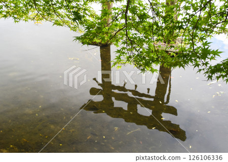 A torii gate and green foliage reflected in Lake Kinrin in Yufuin, Oita Prefecture 126106336